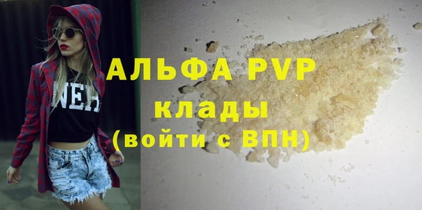 гашик Гусь-Хрустальный