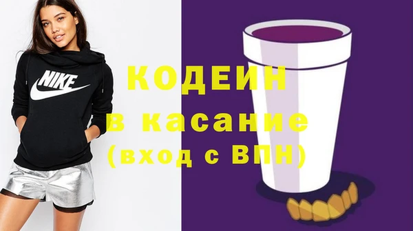 гашик Гусь-Хрустальный