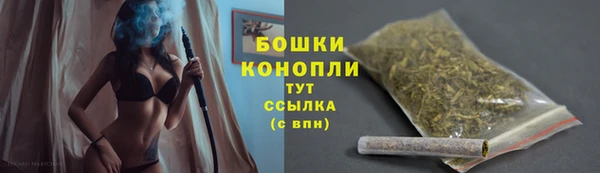 гашик Гусь-Хрустальный