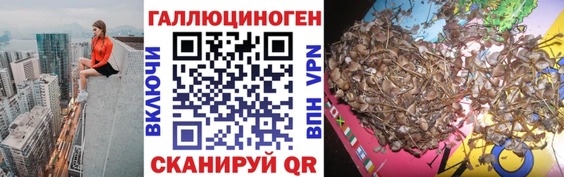 Псилоцибиновые грибы Magic Shrooms  Купить где  Нурлат 